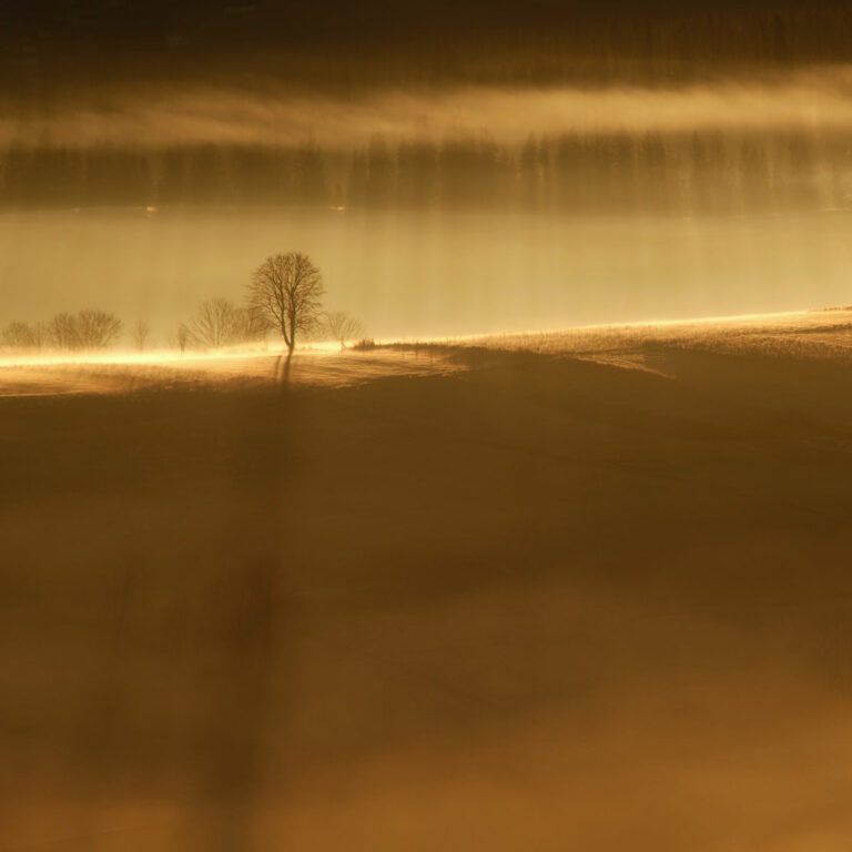 Marcin Kęsek fotografia krajobrazowa, samotne drzewo, wschód słońca, polska polskie krajobrazy, polskie pejzaże